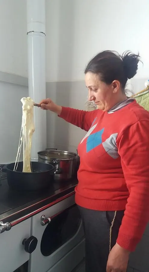 Ξενοδοχείο Guesthouse Bjeshket E Nemura Lepushe